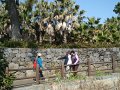 Jeju Tour 21